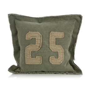 Pute Texas gr�nn 55x55 cm