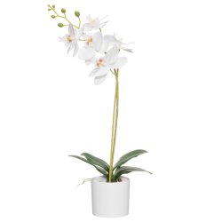 Plante Orkide 49cm i potte