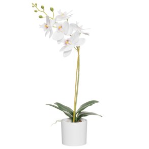 Plante Orkide 49cm i potte