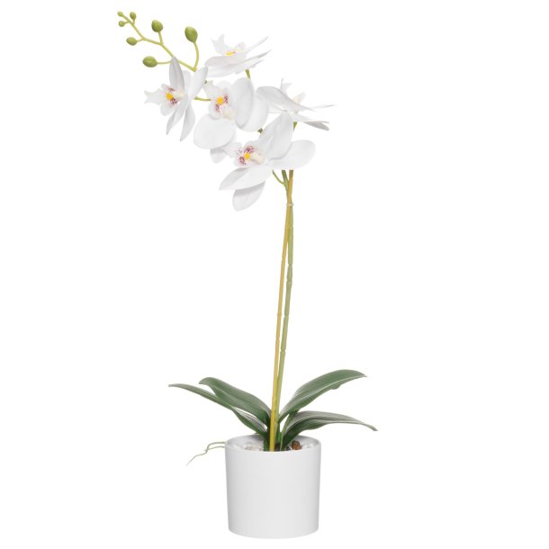 Plante Orkide 49cm i potte