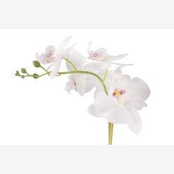 Plante Orkide 49cm i potte