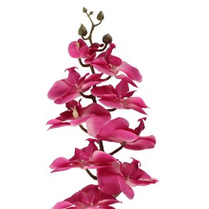Plante Orkid� Gren r�d 73 cm